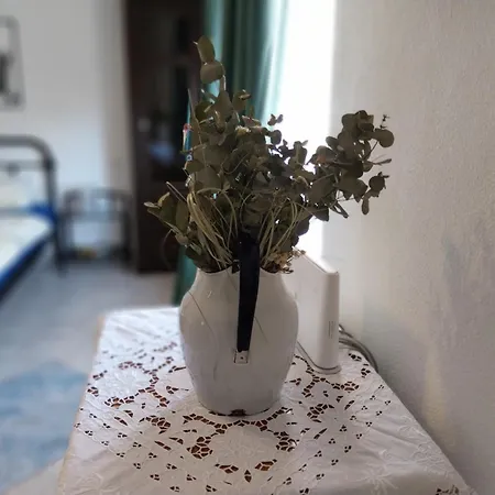 Ada Gračac